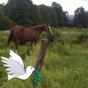 Meet your Posher, Pamela